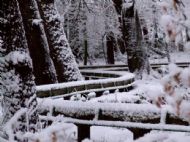 Wirral Snow